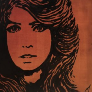 a close up of a zebra