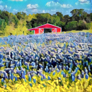 a group of people in a field